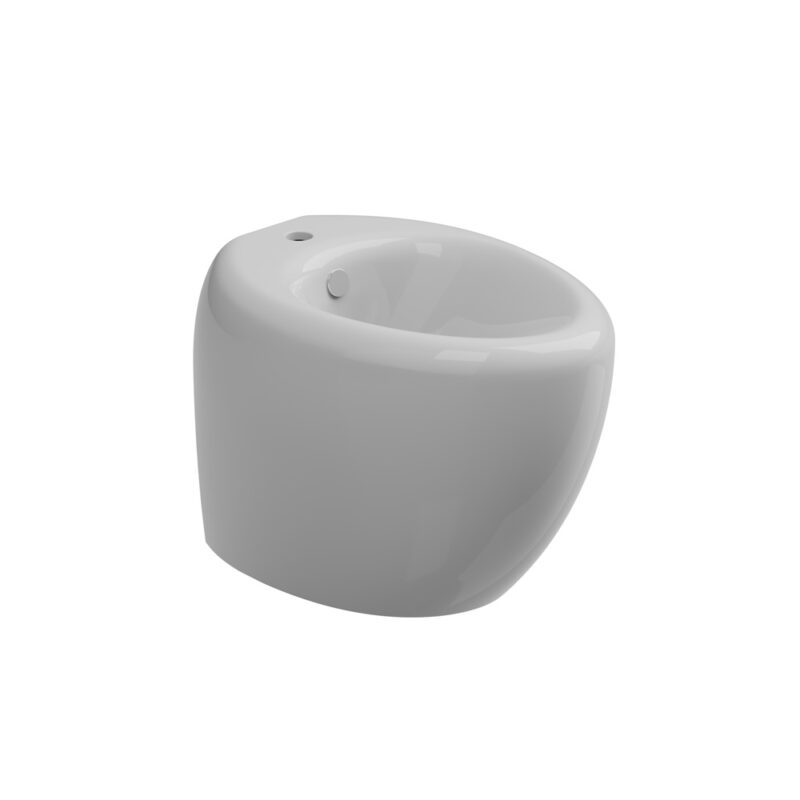 BIDET BACK TO WALL