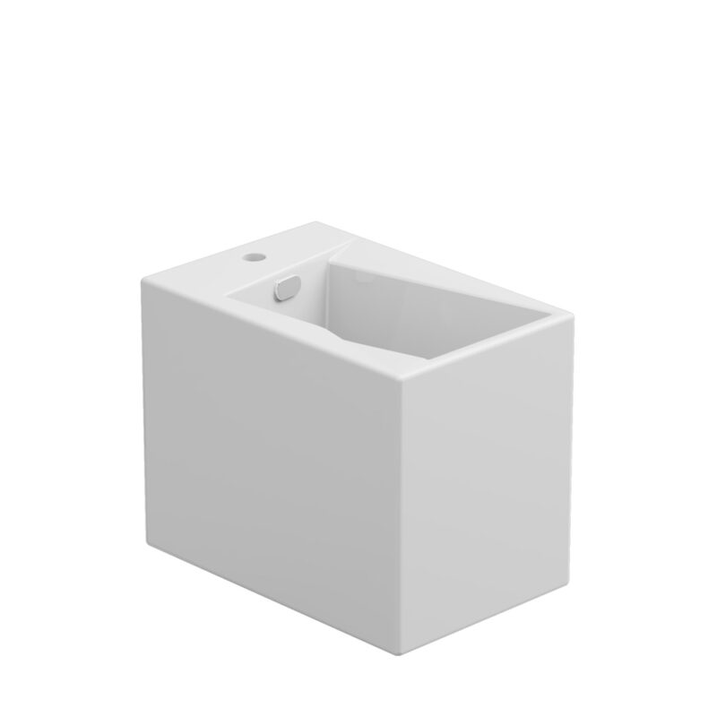 BIDET BACK TO WALL