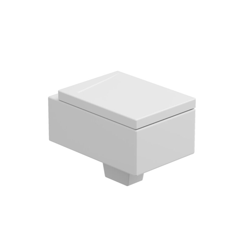 WALL HUNG WC