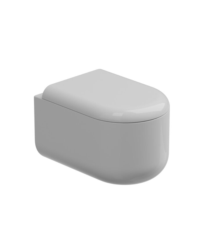 Wall hung WC